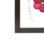 Multicolor Roses with Zipsy Wall Decor Frame 12*15