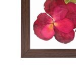 Rose Feverfew and Yellow Elder Wall Frame 8*8