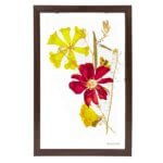 Rose With Yellow Elder Wall Frame 6*10